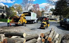 Professional  Tree Services in Fellsburg, PA