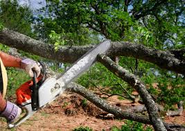 Lawn Renovation and Restoration in Fellsburg, PA